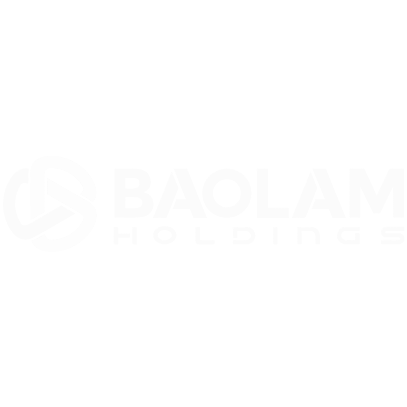 Bao Lam Holdings